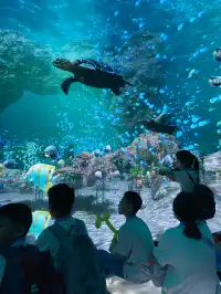 廣東千古情雨天室內遛娃寶典