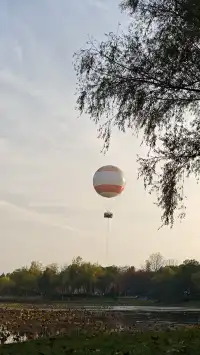 此時，武漢東湖美得不像話免費停車！