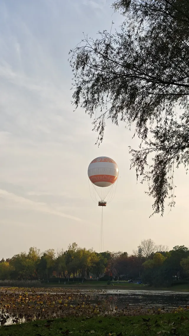 此時，武漢東湖美得不像話免費停車！
