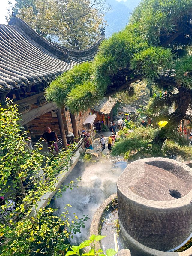 別傻逛篁嶺了！沒聽過這個故事等於白來！