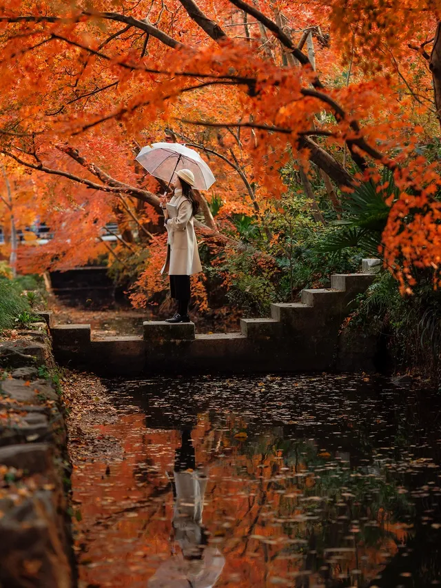 12.5實況|中山植物園這幾個機位包出片的! 12.5實況|中山植物園這幾個機位包出片的!