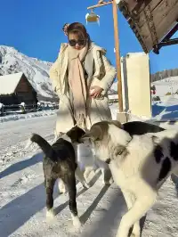 我會一直想念著禾木