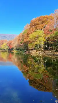 流徽榭，美得像金陵深秋的油畫秘境~
