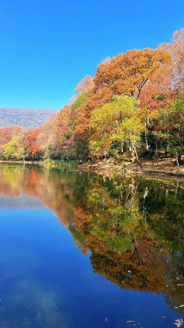 流徽榭，美得像金陵深秋的油畫秘境~