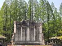 南京音樂台白鴿治癒時刻｜紫金山必打卡地標