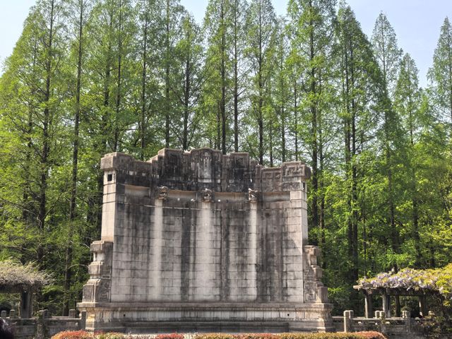 南京音樂台白鴿治癒時刻｜紫金山必打卡地標