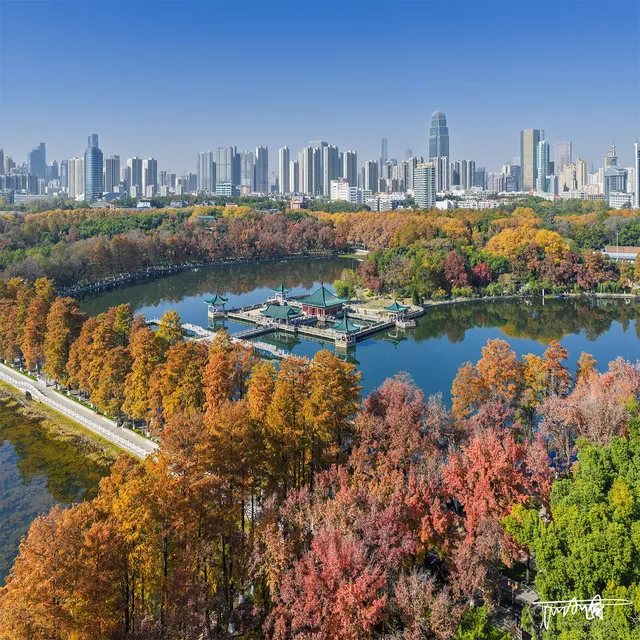 快衝!聽濤的彩林已經美到詞窮! 快衝!聽濤的彩林已經美到詞窮!