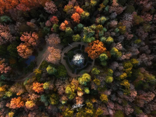 南京秋日航拍 南京秋日航拍