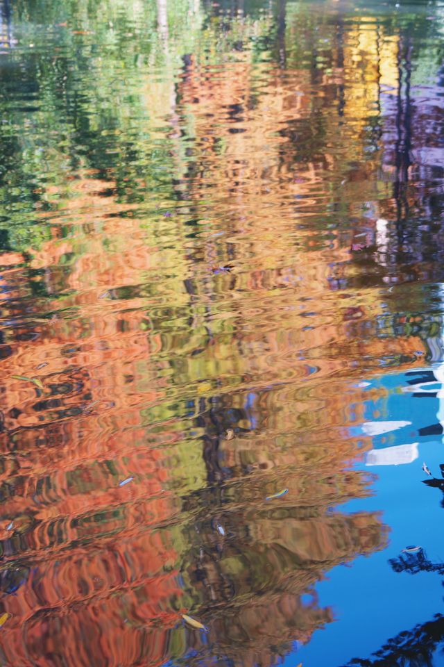 魔都市中心的“小京都”!延中廣場公園秋日拍照封神攻略 魔都市中心的“小京都”!延中廣場公園秋日拍照封神攻略