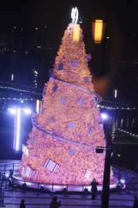 西岸看粉紅聖誕樹吃米其林級新京菜