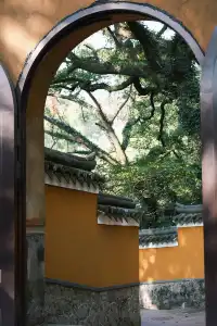 普陀山，來了就好越來越好越好越來