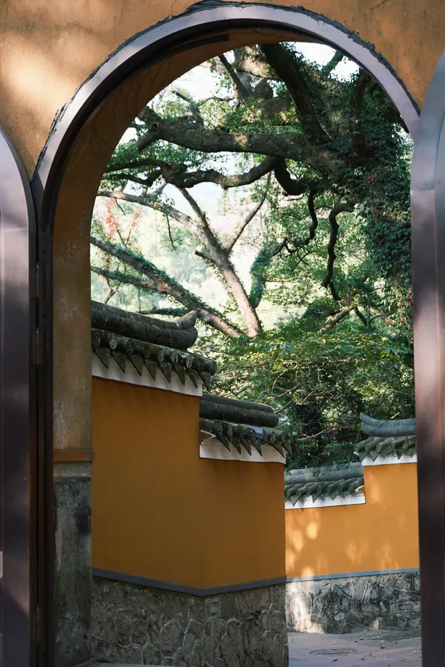 普陀山，來了就好越來越好越好越來