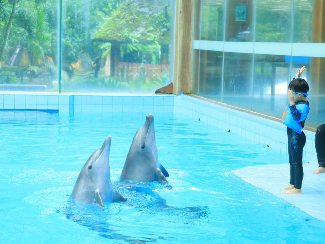 📅 行程安排

第一天:西莫里乳牛場,擠牛奶、餵奶,還能看到其他動物

第二天:野生動物園一日遊,在野生動物園、遊樂園和海豚館度過一整天

第三天:馬斯山,滑索和卡丁車是亮點,之後回到市區

🏨 住宿:植物園

🍴 美食推薦:我們的當地司機帶我們去了幾家大餐館,當地美食很棒,記得告訴他們不要做太辣的

📌 小貼士:去野生動物園之前,可以請當地人幫忙買水果(河馬可以吃西瓜,其他動物可以吃香蕉和紅蘿蔔)。不要買當地人賣的草莓,雖然便宜而且看起來不錯,但裡面可能都發霉了。