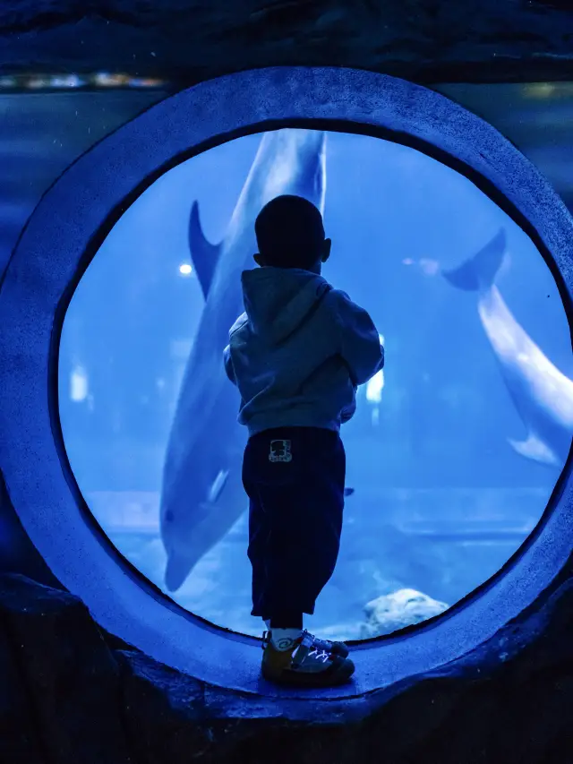 被問爆的舟山親子酒店一站式玩到不想回家