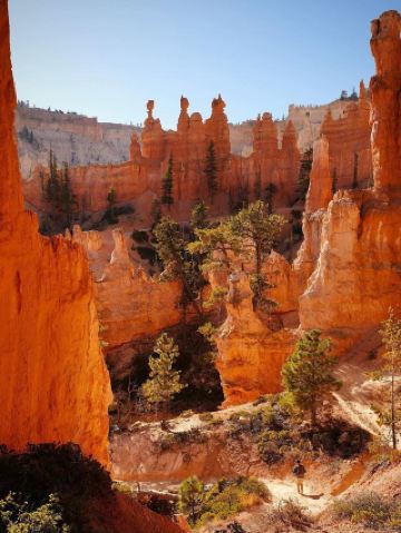 ロサンゼルス発・西海岸7日間カスタムチャーター旅行！足を使わず楽々満喫