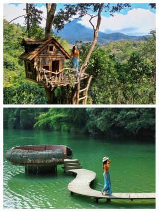Sanya's Backyard! The Rainforest Secret of Wuzhishan, Hainan is Beautiful to Tears