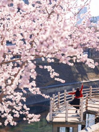 私の春の秘蔵｜CBDのそばで出会った水辺の桃の花
