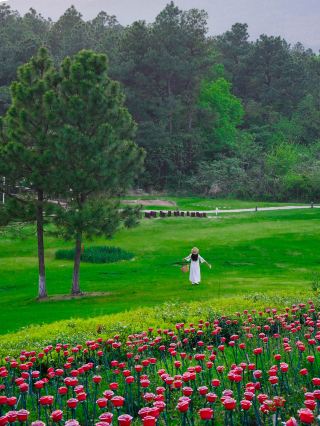 리양 사람들은 정말 입이 떡 벌어지네요! 이 멋진 자율 주행 코스에 대해서도 전혀 알려주지 않았어요!