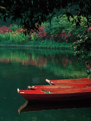 Guangzhou Weekend Chill Guide: A Spring Stroll in Xiaogang Park