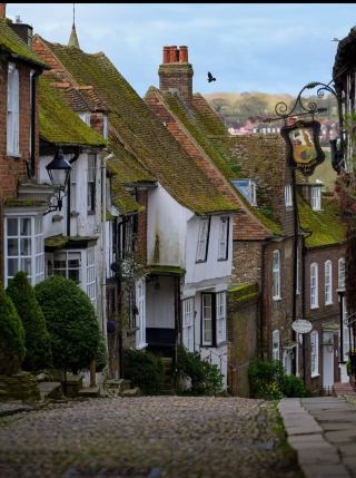 Forgotten by Time: A Complete One-Day Medieval Secret Tour of Rye Near London