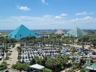 Moody Gardens Half Price｜Houston Travel Tips