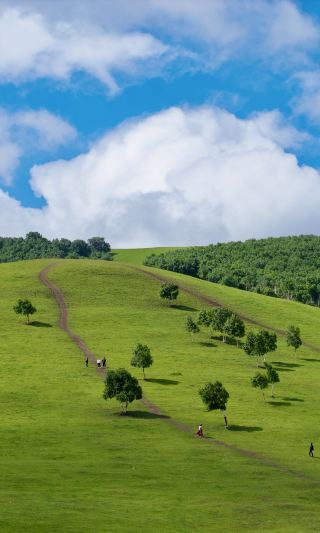 3-hour journey from Beijing to a real-life cloud-covered grassland (with guide)