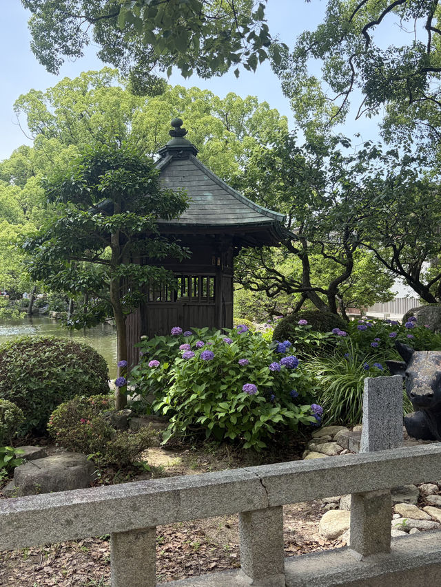 日本7日親子遊攻略親測不踩雷 日本7日親子遊攻略親測不踩雷