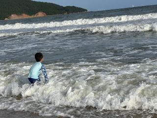 陽西の海辺に「隠れたサプライズ」！去年より10倍美しい