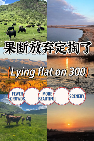Decisively giving up on booking Dingtao. The average cost here is 300 per person for a laid-back trip. Fewer people, better scenery