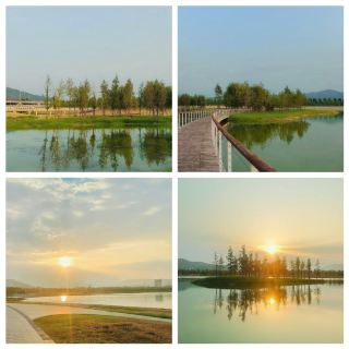 Liaohe Wetland Park: The Softest, Most Peaceful Sunrise Scene I’ve Ever Found