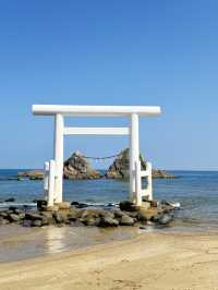 6天日本遊保姆級攻略建議直接抄作業