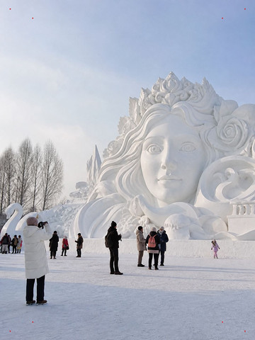 南方から来た人が初めて見るハルビン氷祭り、4日間でハルビンを遊び