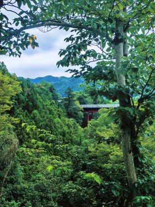 ​雨霧に煙る奥多摩：英国風ティーガーデン、山間の橋、そして秘境・日原鍾乳洞へ
