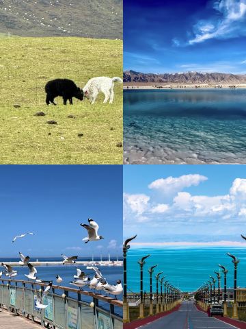 青海湖3天秋遊湖岸取景與室內備選