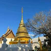 พระธาตุปูแจ