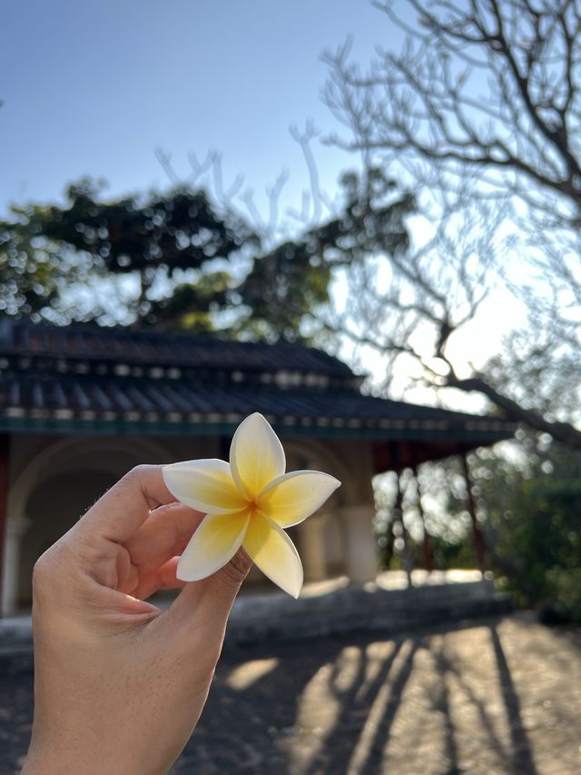 พระนครคีรียามเย็น ดูลิง ฟีลโคเรีย 