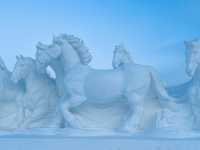 Frozen Harbin - Ice Sculptures 