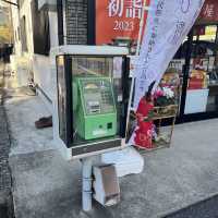 일본전통스타일을 느낄수 있는 현지인 관광지!🍵나리타 신쇼지 🇯🇵