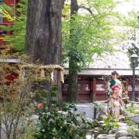 賞櫻 賞景 賞文化 東京近郊秩父神社