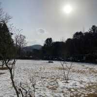 韓國南怡島❄️❄️