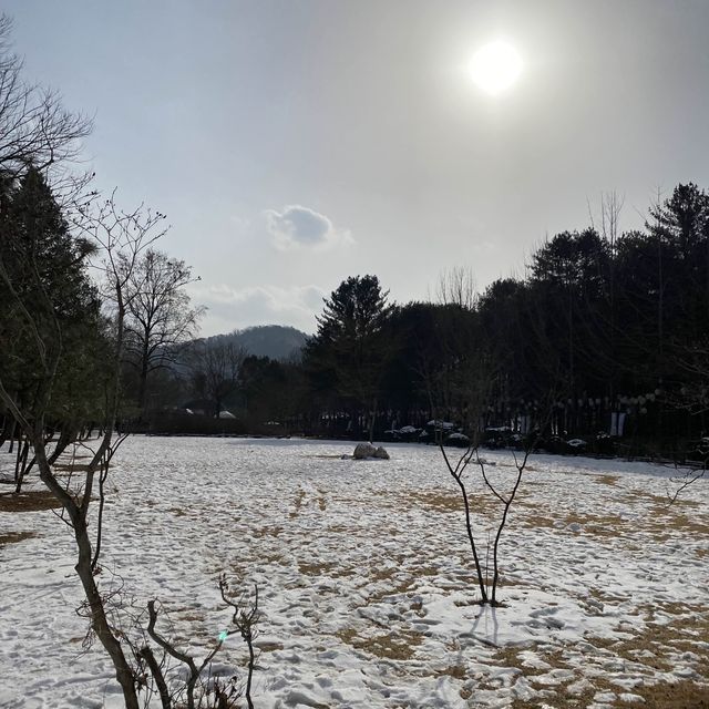 韓國南怡島❄️❄️