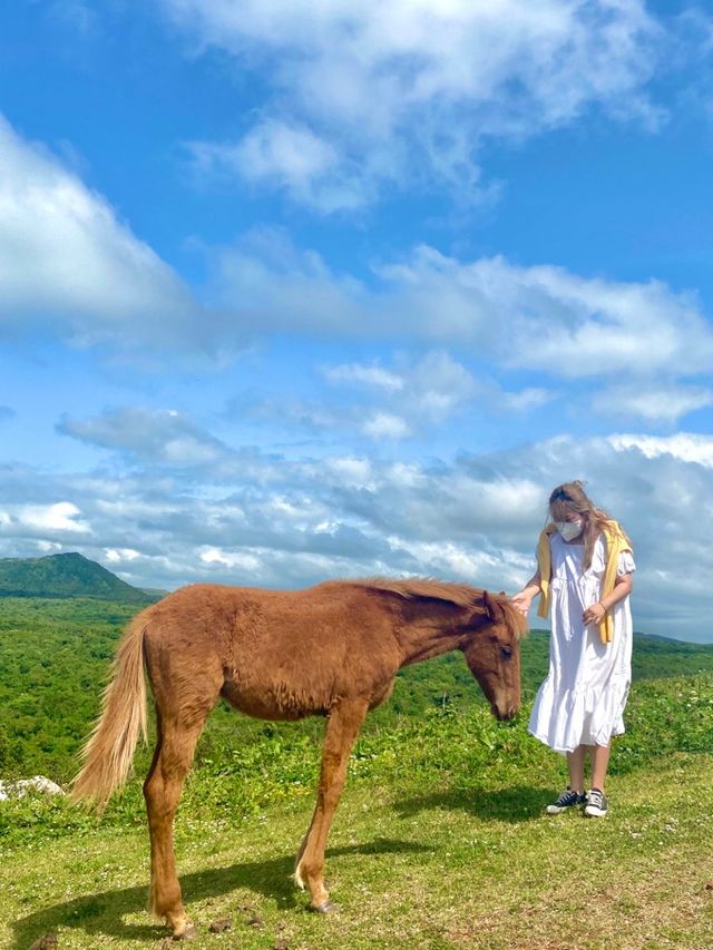 🐴 말과 함께 인생샷을 “문도지 오름”