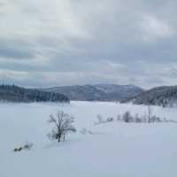 일본여행 비에이로 가는 길에 있는 Katsurazawa Lake