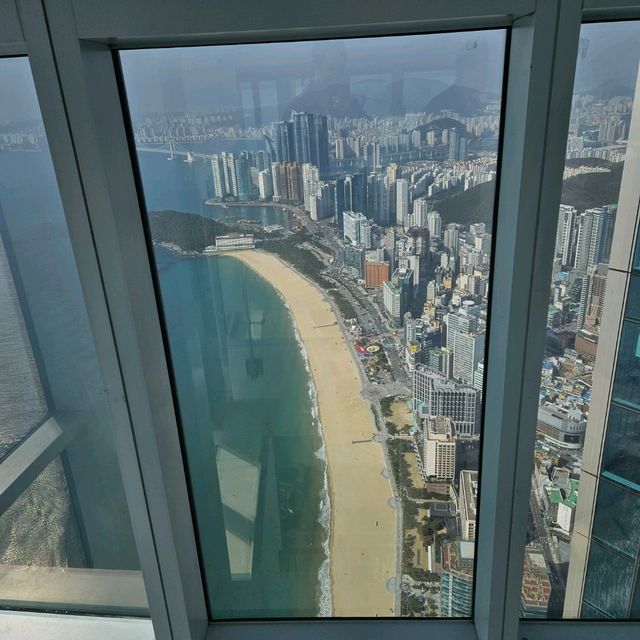 시그니엘 부산 전망대!! 찐후기✈️⛵️
