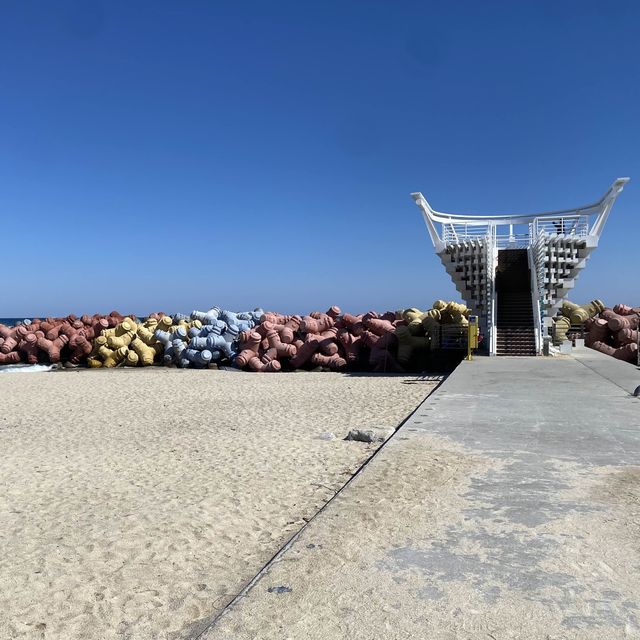 강릉 무지개방파제가 유명한 “사근진해변” 전망대 ⭐️
