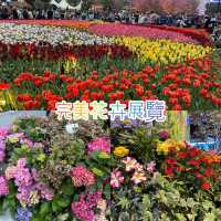2023香港花卉展覽完結篇