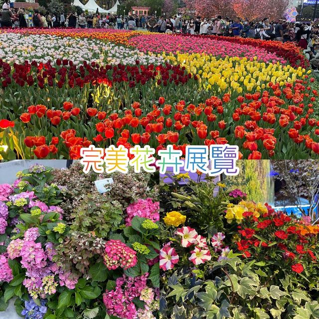 2023香港花卉展覽完結篇