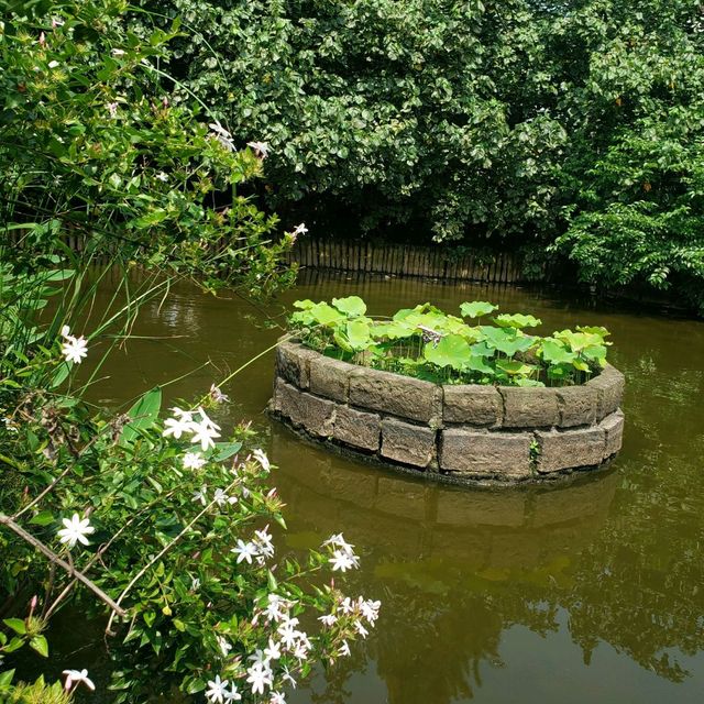 世外桃源【台北中正】台北植物園