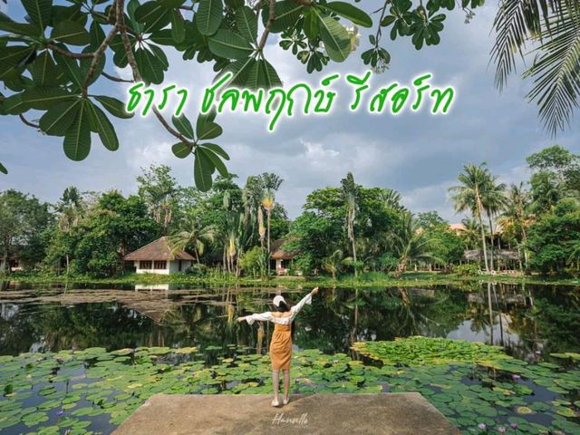 ชวนไปนอนพักผ่อนใกล้ชิดธรรมชาติ ที่ จ.นครนายก