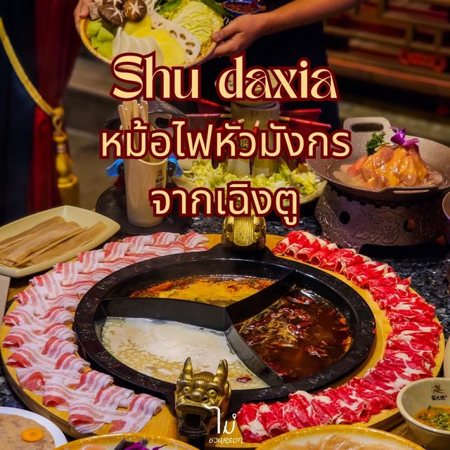SHU DAXIA Thailand 🥢 ร้านหม้อไฟหัวมังกรเปิดใหม่ ร้านสวยอลังการมากกก